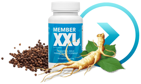 Member XXL